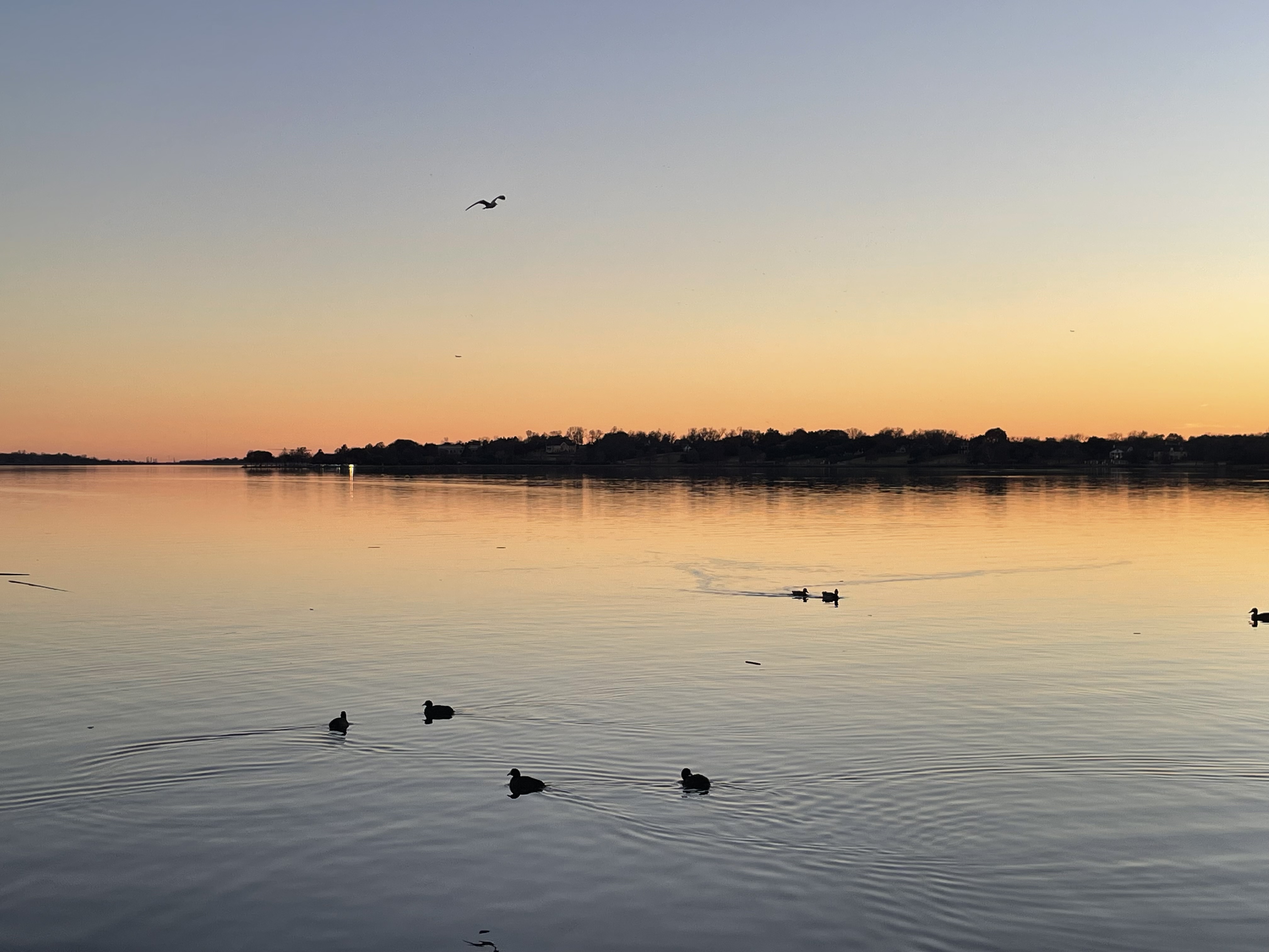 Ein ruhiger See in Texas bei Sonnenuntergang
